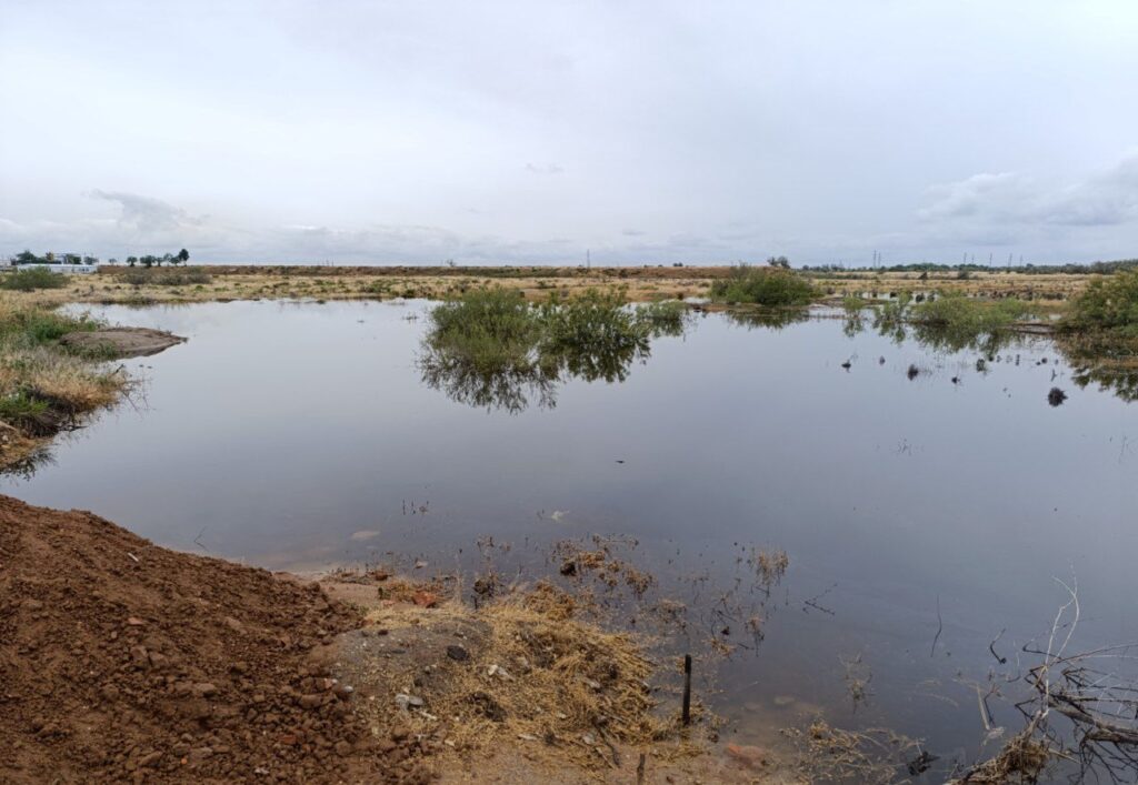Вода уходит: село под Астраханью неожиданно перестало топить