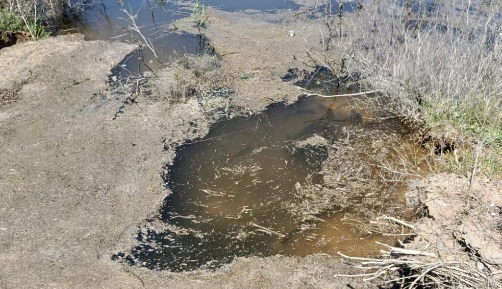 Размытые берега: большая вода принесла жителям Астраханской области неприятный сюрприз