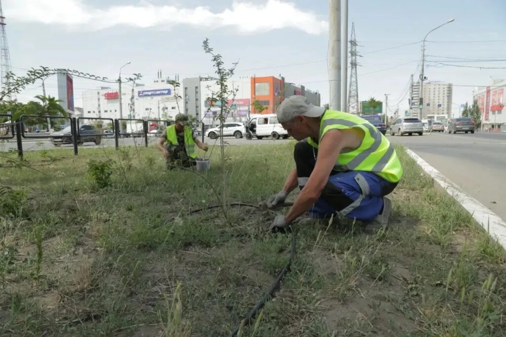 В Астрахани модернизировали поливочную систему на Набережной Приволжского затона
