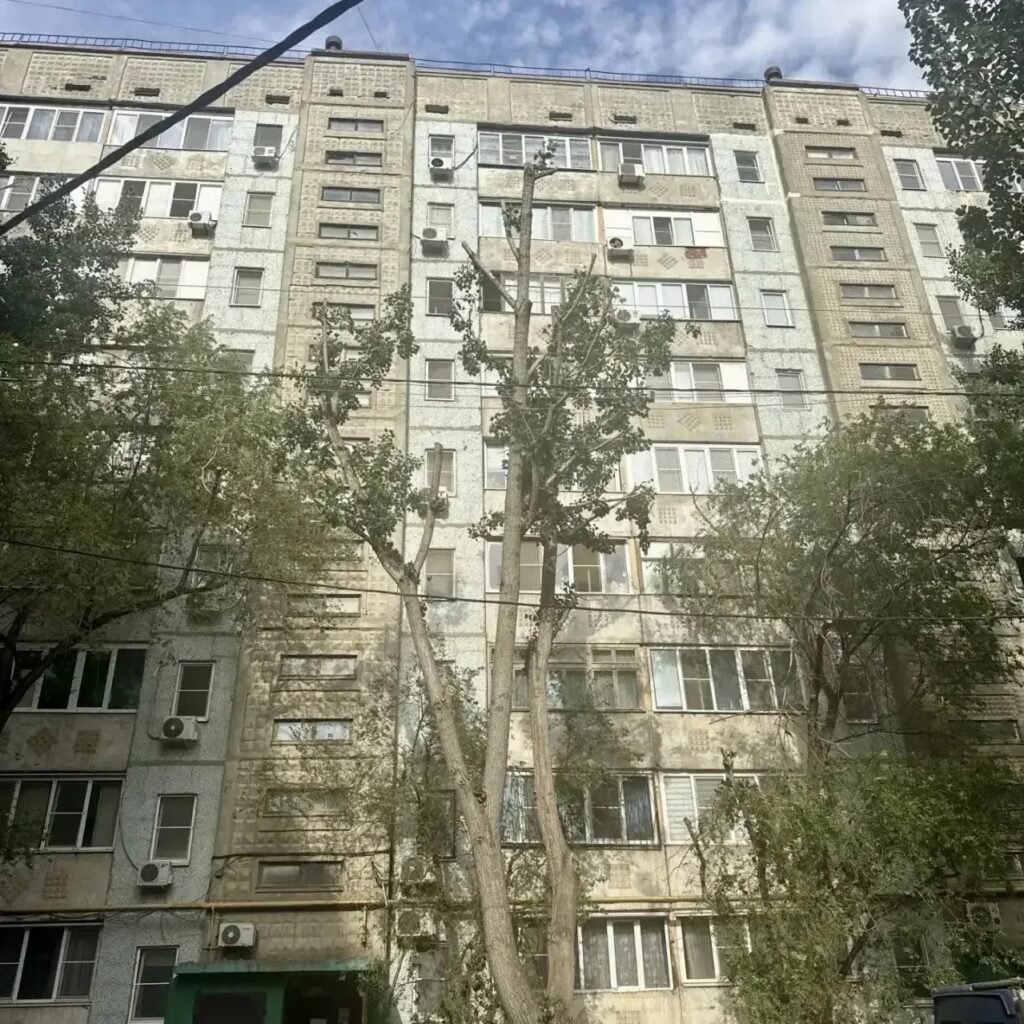 Депутат Городской Думы помог астраханцам избавиться от аварийного дерева