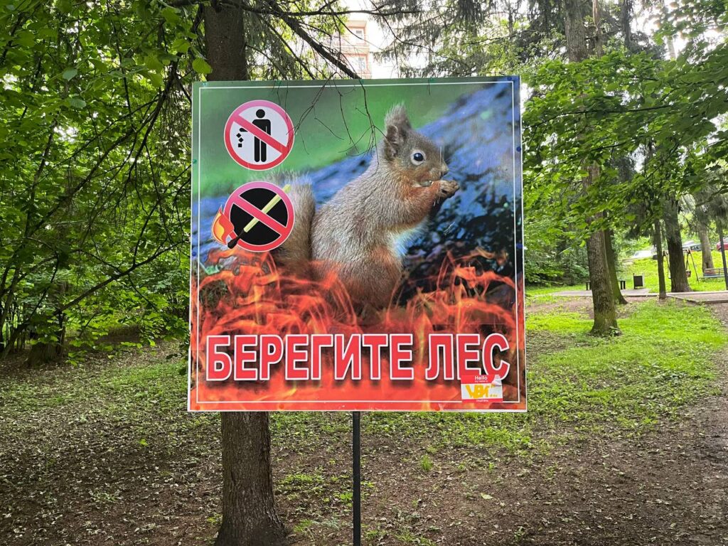 С 1 сентября в Астраханской области введут новые правила безопасности в лесах
