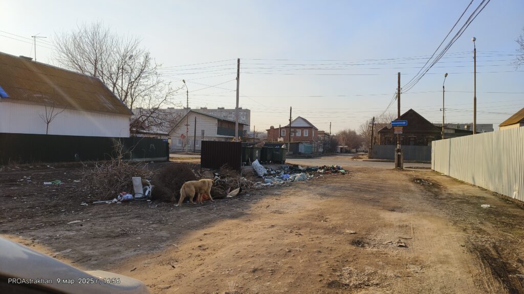 В Астраханской области запускают масштабную программу по сортировке и переработке мусора