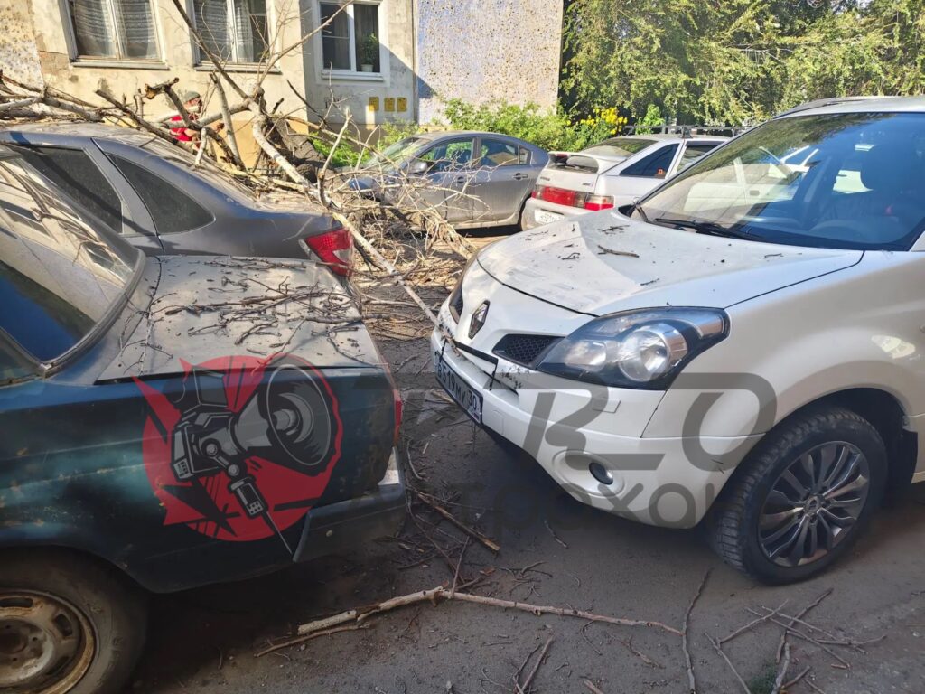 5 машин пострадало при падении дерева во дворе жилого дома в Астрахани