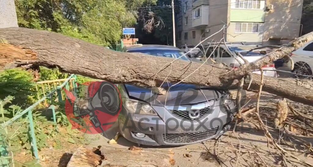 5 машин пострадало при падении дерева во дворе жилого дома в Астрахани