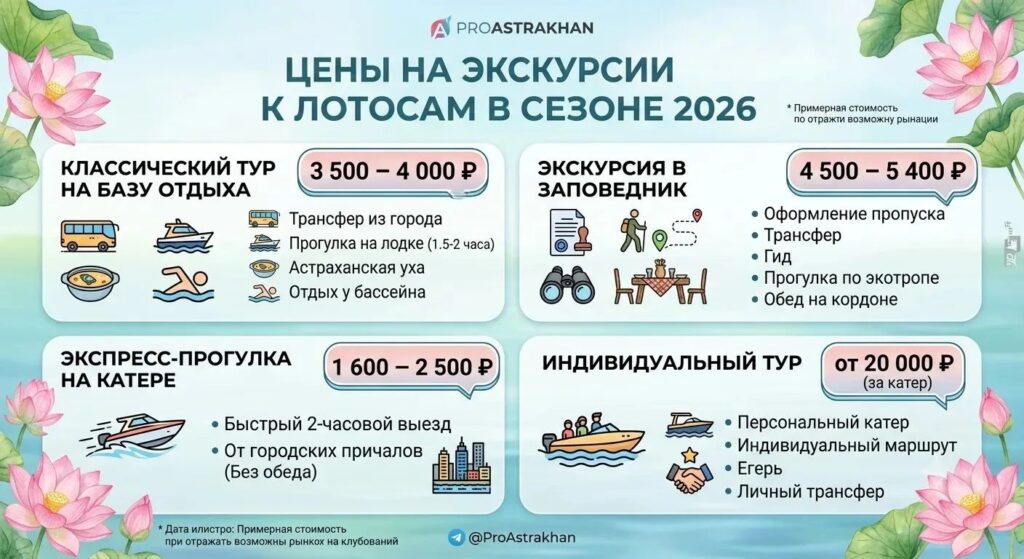 Розовое море под Астраханью: где увидеть цветущие лотосы в 2026 году и сколько стоит поездка — фото 4