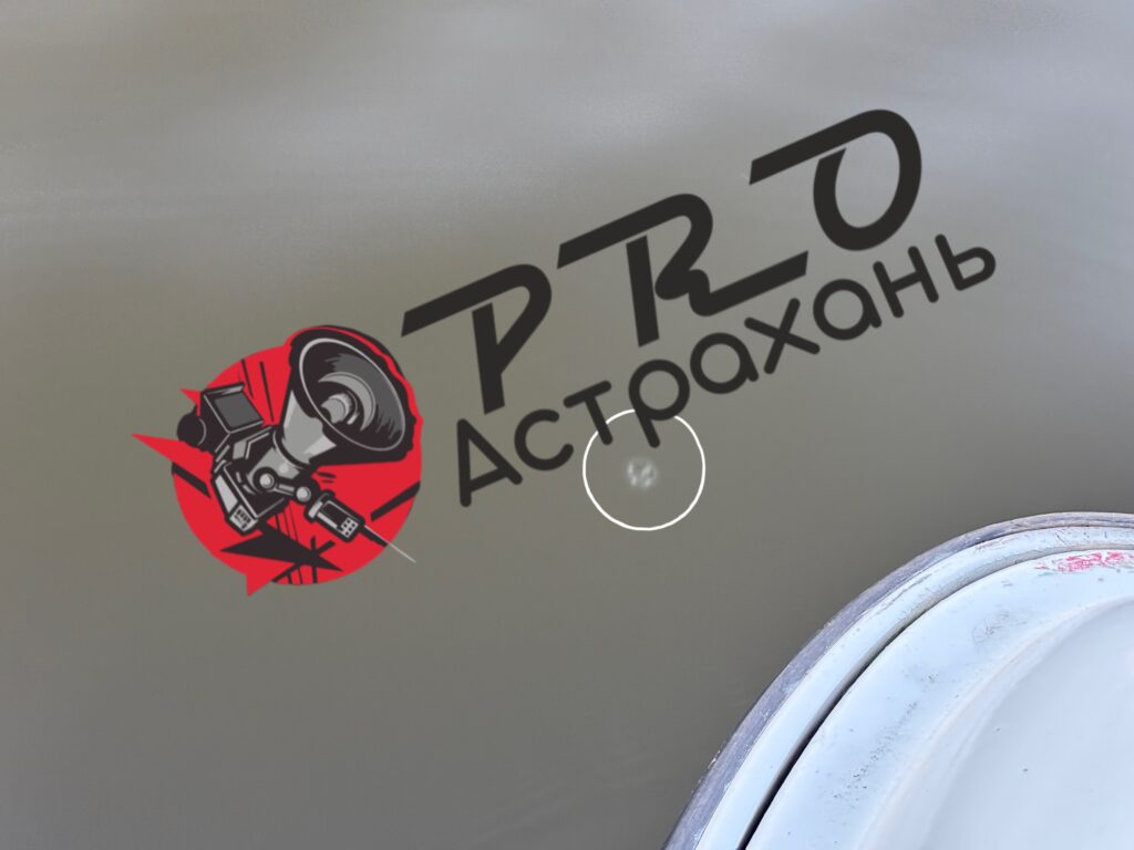 Желе вместо воблы: почему пресноводные медузы могут оставить Астрахань без судака и щуки Желе вместо воблы: почему пресноводные медузы могут оставить Астрахань без судака и щуки