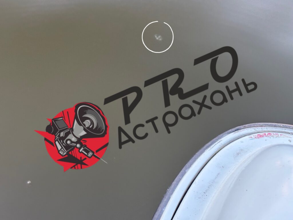 Желе вместо воблы: почему пресноводные медузы могут оставить Астрахань без судака и щуки Желе вместо воблы: почему пресноводные медузы могут оставить Астрахань без судака и щуки