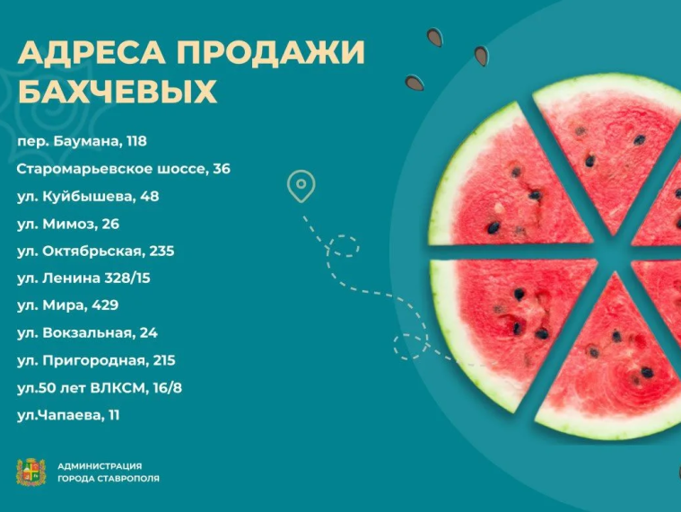 В Ставрополе стартовал сезон арбузов и дынь — открылись 11 торговых точек
