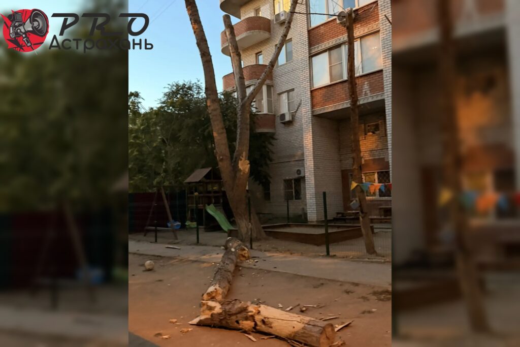 На астраханку с младенцем на руках  едва не рухнуло дерево