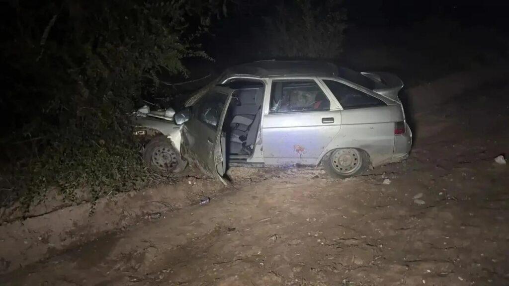 В Лиманском районе ВАЗ сбил корову: пострадала семилетняя девочка