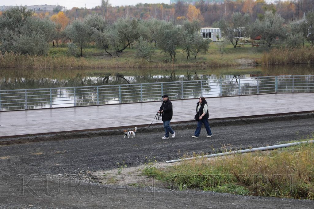 В Кургане проверили ремонт школ, дворов и общественных пространств — фото 9