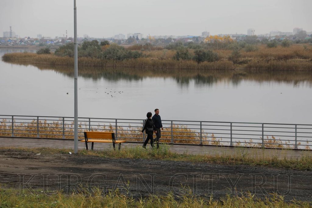 В Кургане проверили ремонт школ, дворов и общественных пространств — фото 8