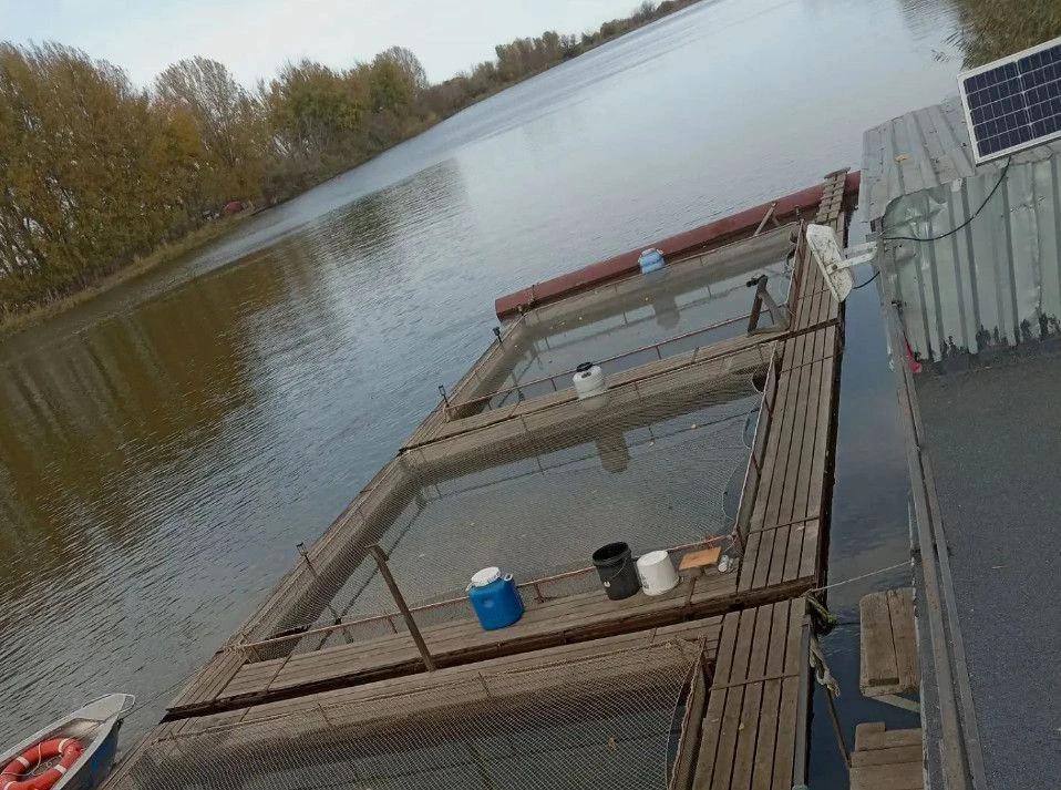 Упал между рыбными садками и исчез под водой — в Астраханской области ищут мужчину