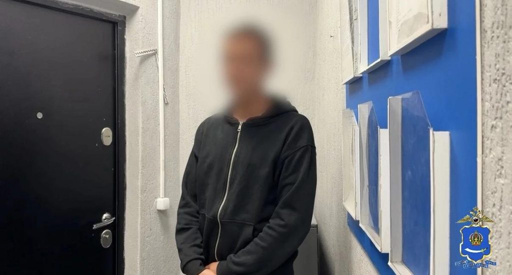 Два астраханца убили кота и угрожали заступившейся женщине — фото 1