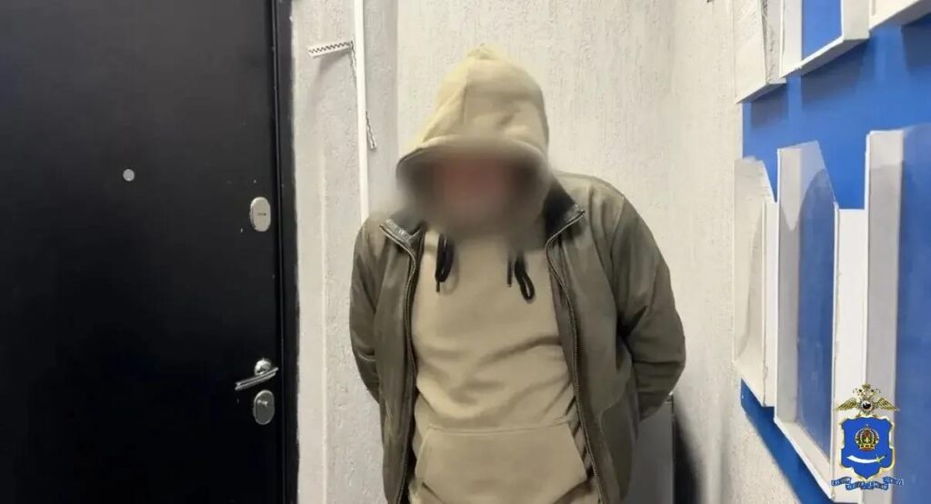 Два астраханца убили кота и угрожали заступившейся женщине