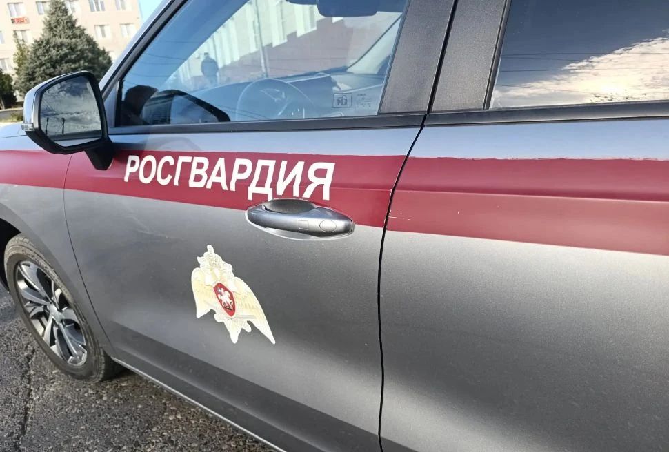 История игрушек по-астрахански: росгвардейцы пресекли необычную кражу
