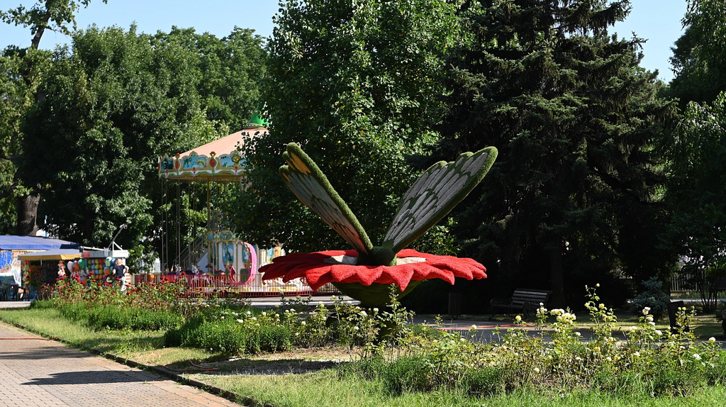 Кинопоказы, мастер-классы и экскурсия: афиша мероприятий в Краснодаре на выходные