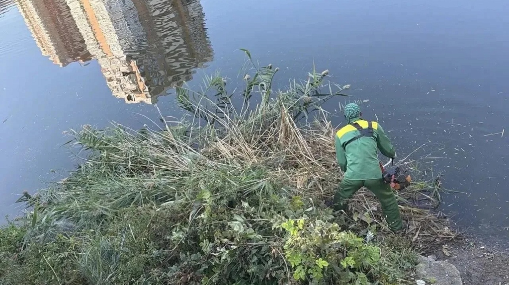 В Краснодаре с начала осени очистили более 29 тысяч кв. м берегов озер