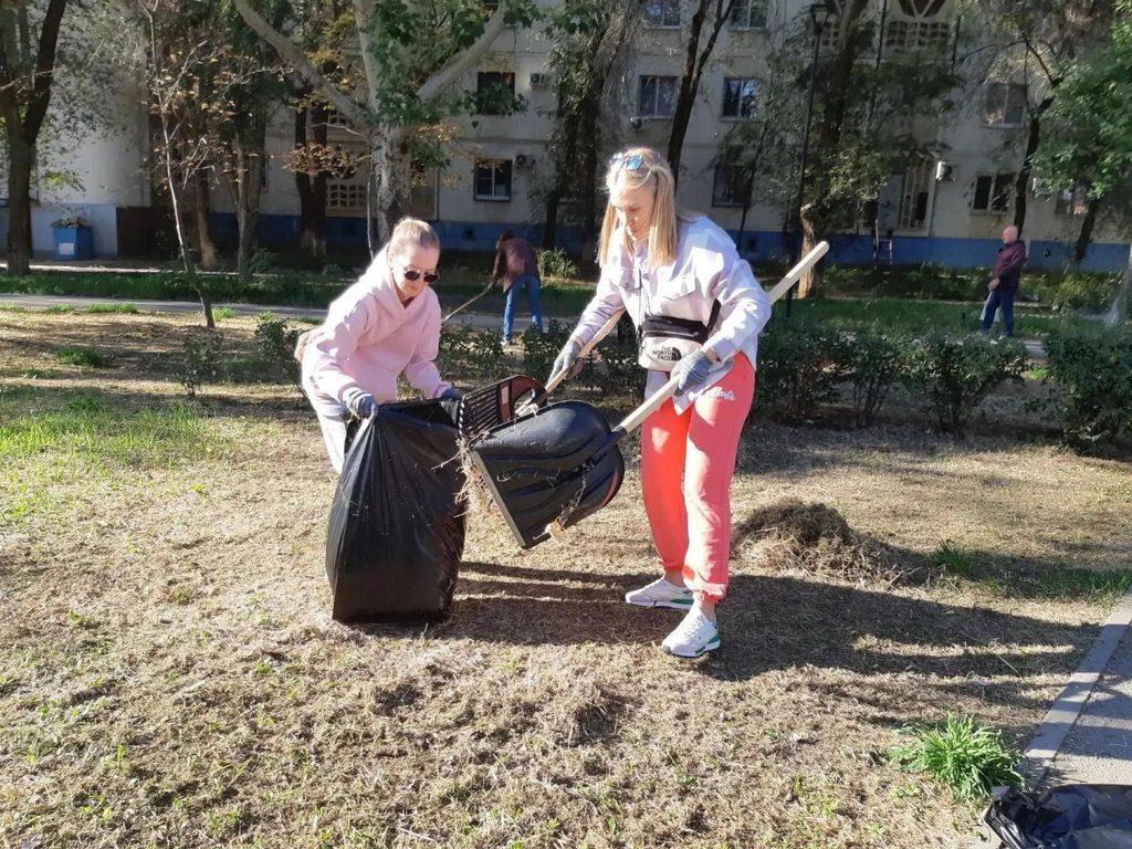На бульваре Энергетиков в Астрахани высадили розы — фото 3